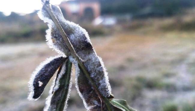 Massa polar chega ao ES, provoca queda nas temperaturas e risco de geadas