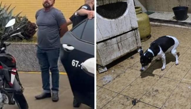 Médico é preso após cães serem achados congelados em freezer de casa