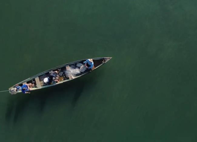 Ministério da Pesca cancela mais de 76 mil licenças de pescadores