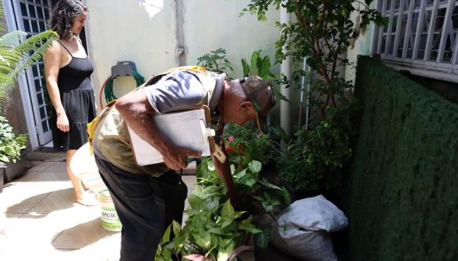 Ministério da Saúde intensificará mobilização contra dengue no Brasil