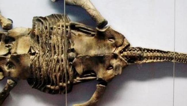 Monstro do Lago Ness: Estudos indicam que mito pode ser plausível
