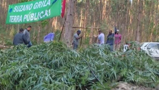 MST invade duas áreas de terras produtivas em Aracruz, no ES