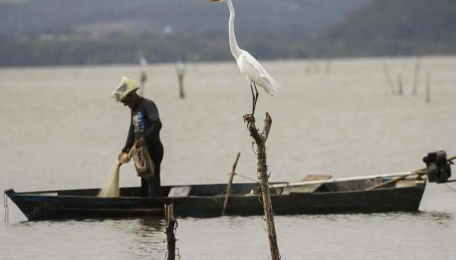 Mudanças aprovadas para o seguro-defeso previnem fraudes, diz relator