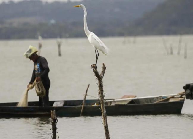 Mudanças aprovadas para o seguro-defeso previnem fraudes, diz relator