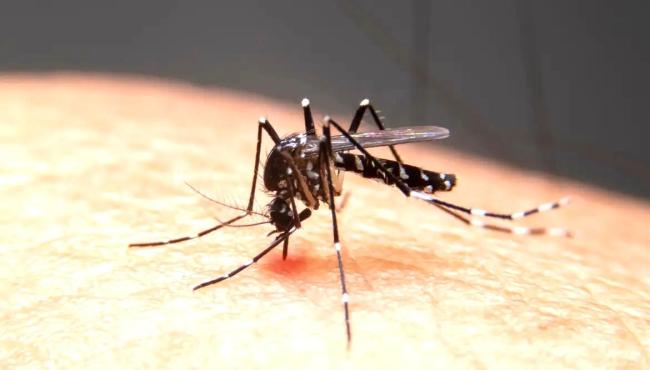 Mudanças climáticas já causam aumento de doenças infecciosas no país