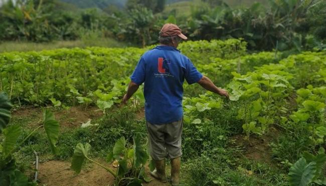 Mudanças no Programa Compra Direta de Alimentos vão melhorar atendimento a municípios e beneficiários no ES