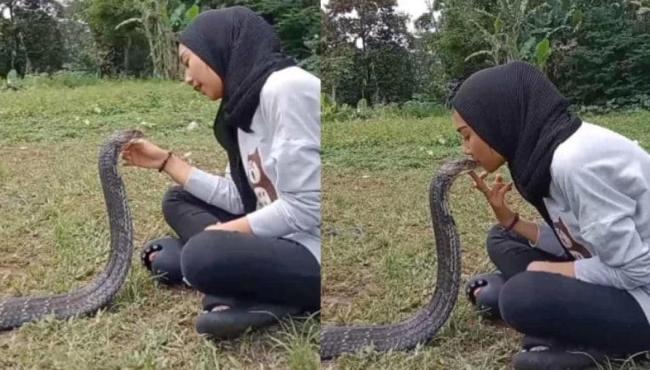 Mulher beija boca de cobra peçonhenta e gera revolta na web