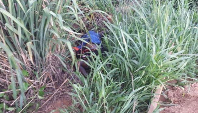 Mulher é encontrada morta com corte na cabeça em matagal