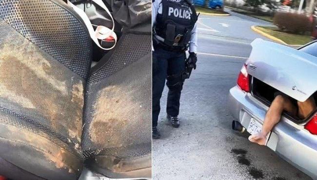 Mulher encontra lama na cadeira do carro e homem nu no porta-malas