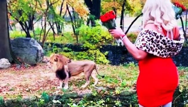 Mulher presa por invadir cercado de leões nos EUA é procurada pela polícia por cometer mesmo crime