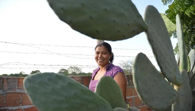 Mulheres comandam produção em duas em cada dez propriedades rurais