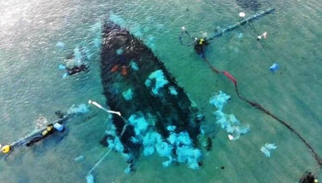 Navio naufragado há 1200 anos é encontrado na costa de Israel