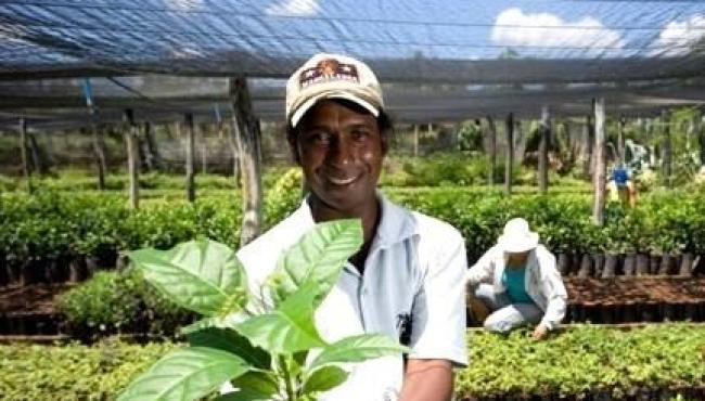 No Espírito Santo, órgãos públicos já contrataram mais de R$ 1,6 milhão de microempreendedores e agricultores familiares pelo Contrata+Brasil