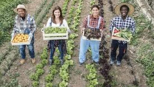 Nova portaria fortalece a agricultura familiar frente às mudanças climáticas