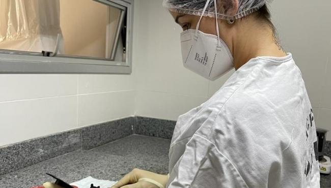 Novas técnicas implantadas na PCES agilizam identificação de cadáveres em decomposição