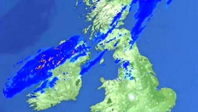 Nuvem de formigas voadoras é identificada na Inglaterra