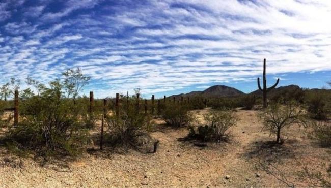 O arriscado trajeto entre EUA e México onde brasileira foi encontrada morta