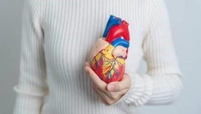 O coração das mulheres pede mais atenção: doenças cardiovasculares são a principal causa de morte feminina no mundo