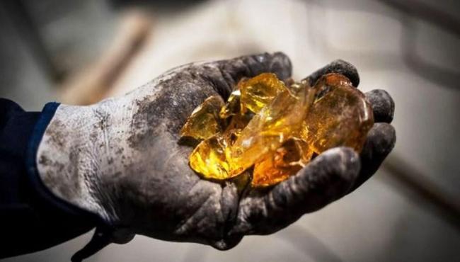 O ‘ouro líquido’ escondido nas florestas da Espanha