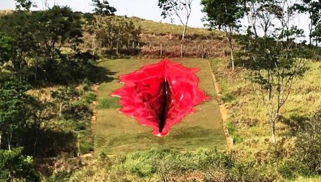 Obra de arte em forma de vulva causa polêmica na Internet