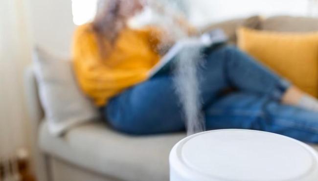 Onda de calor: umidificador ameniza efeitos do tempo seco, mas uso exige cautela