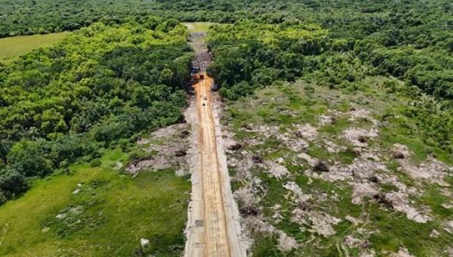 Operação interrompe infração ambiental em área protegida de Conceição da Barra, ES