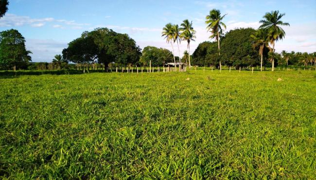 Oportunidade para adquirir seu imóvel rural (chácara) em Itaúnas, Conceição da Barra, ES
