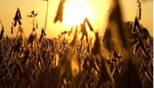 Ordem de mistura dos insumos agrícolas exige atenção para rotinas de aplicação na lavoura