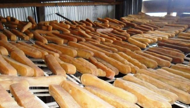 Os segredos do queijo mais duro do mundo, que pode ser consumido após 20 anos