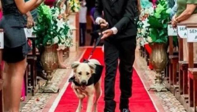 Padre encerra casamento após ver cães com alianças
