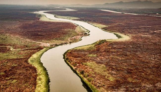 Pantanal: focos de incêndios nos primeiros 10 dias de setembro já são o dobro de todo o mês em 2023