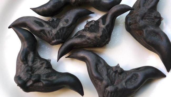 Parece um morcego, mas não é! Conheça a castanha exótica de 3 mil anos consumida na Ásia