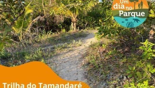 Parque Estadual de Itaúnas, em Conceição da Barra, ES, participa do evento ‘Um Dia no Parque’