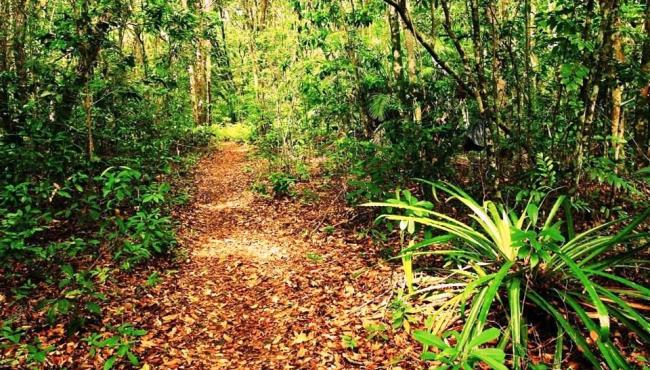 Parque Estadual de Itaúnas realiza caminhada e passeio ciclístico para inaugurar nova trilha
