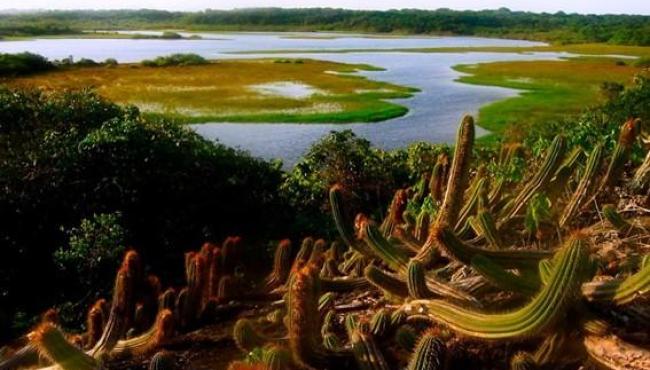 Parques Estaduais estarão abertos no Carnaval 2026