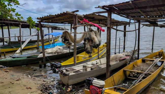 Peixe na água e rede vazia: desastre da Braskem atinge pescadores