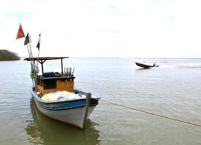 Pesca na foz do Rio Doce, no Espírito Santo, volta a ser liberada depois de dez anos