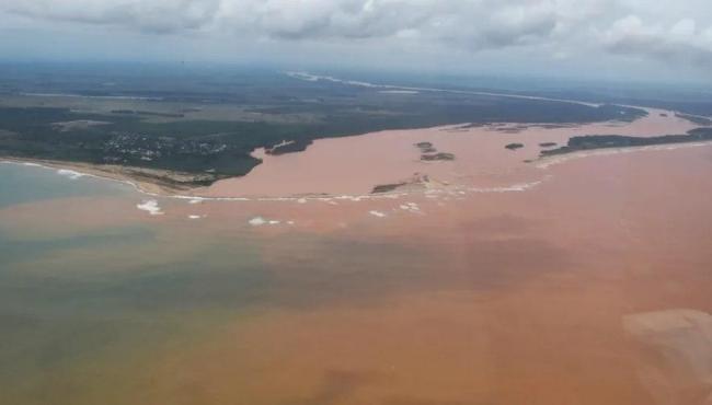 Pescadores encontram animais doentes e deformados no ES; lama de Mariana pode ter ligação