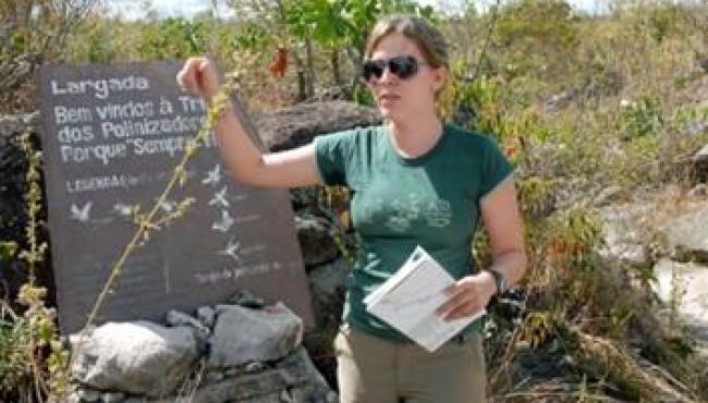Pesquisadora é reconhecida pelo Prêmio Para Mulheres na Ciência por inovar no estudo da polinização com DNA ambiental