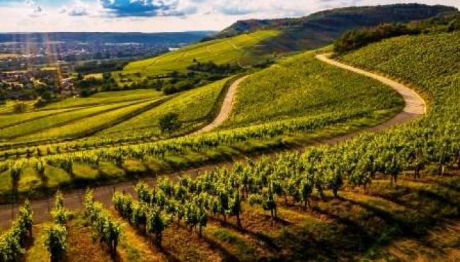 Pessoa física poderá investir em condomínio de produção rural no Espírito Santo
