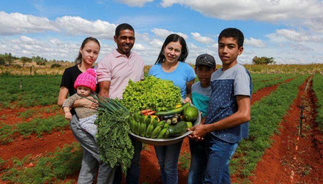 Plano Safra da Agricultura Familiar 2024-2025 encerra ciclo com mais operações e crédito