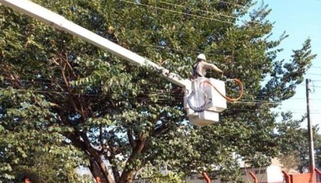Poda de árvores próxima à rede elétrica causa mortes todo ano