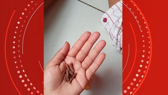 Polícia investiga mulher que ameaçou tomar veneno de rato e dar para a filha de 4 anos, em São Mateus, no ES
