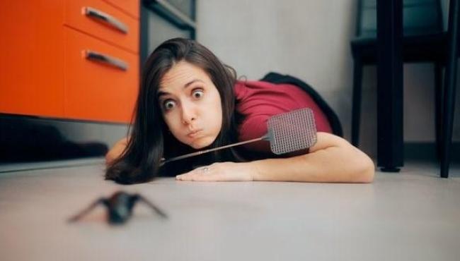 Por que algumas pessoas sentem cheiro de barata e formiga?