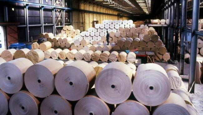 Por que fabricantes de papel higiênico estão assustados com alta de custos no Brasil