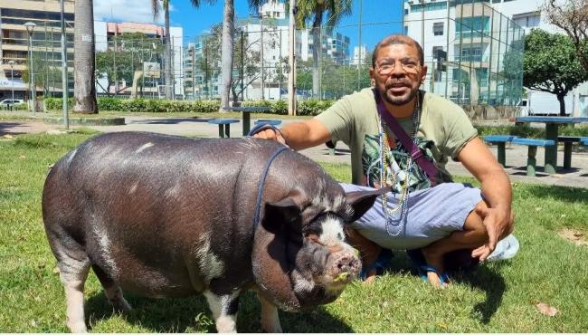 Porco pet? Filho de Martinho da Vila cria animal de 60 kg em apartamento no ES