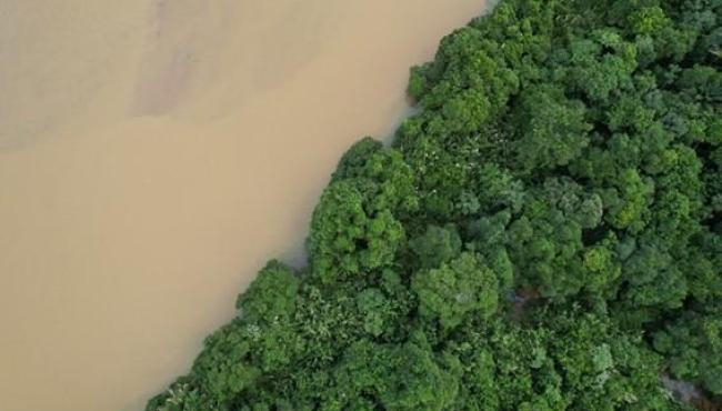 Portaria Conjunta abre seleção para criação de nova RPPN na bacia do Rio Doce, no Espírito Santo