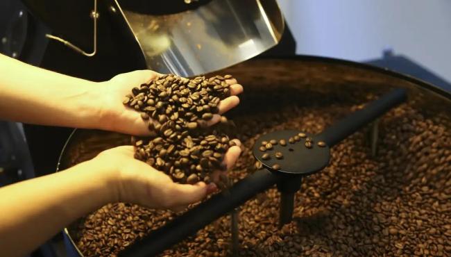 Preço do café cai pela primeira vez depois de 18 meses, diz IBGE