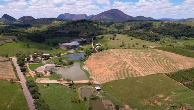 Preço do café estimula expansão de novas áreas de plantio no Espírito Santo