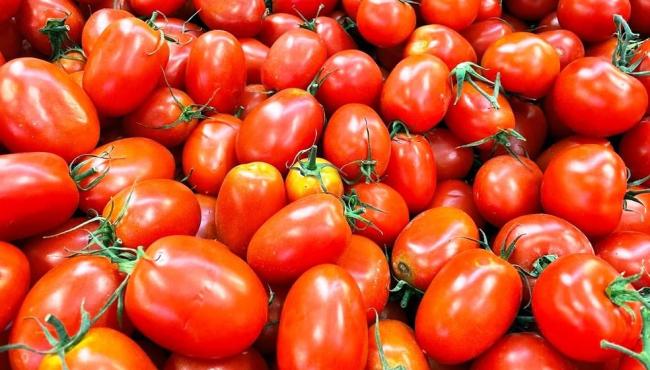 Preço do tomate quase dobra em 1 ano; entenda por que e se vai continuar caro